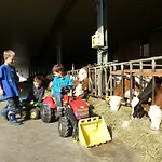Kerndlerhof Ybbs an der Donau