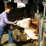 Farm stay Kerndlerhof *