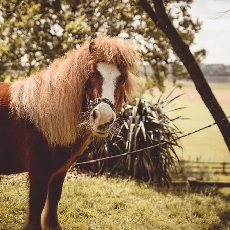 Alloggio per agriturismo Kerndlerhof *