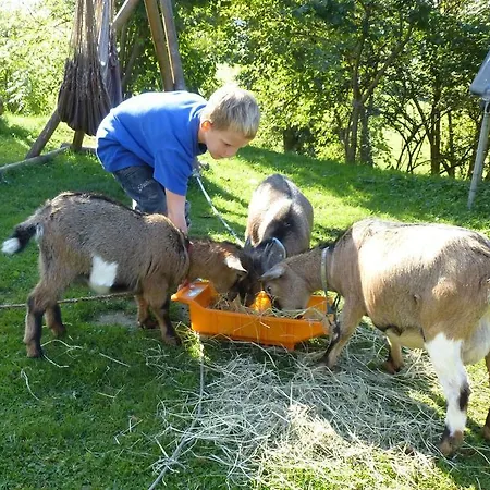 Kerndlerhof Ybbs an der Donau