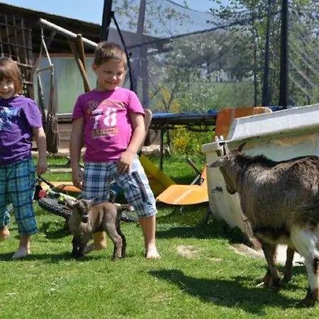 Alloggio per agriturismo Kerndlerhof Ybbs an der Donau