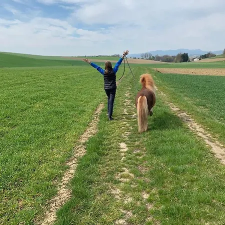 Kerndlerhof Alloggio per agriturismo *