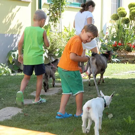 Alloggio per agriturismo Kerndlerhof *