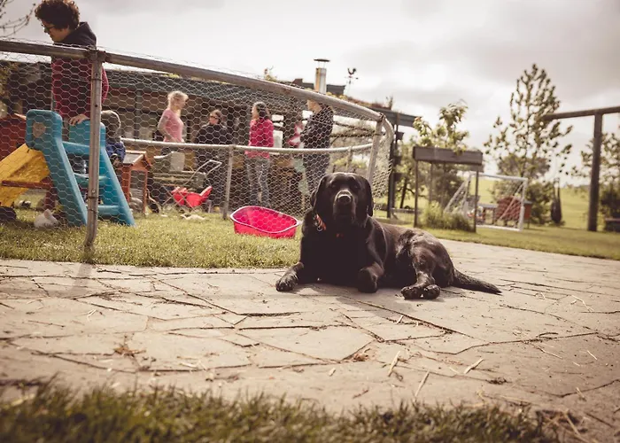 Kerndlerhof Farm stay Ybbs an der Donau