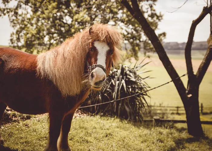 Farm stay Kerndlerhof *