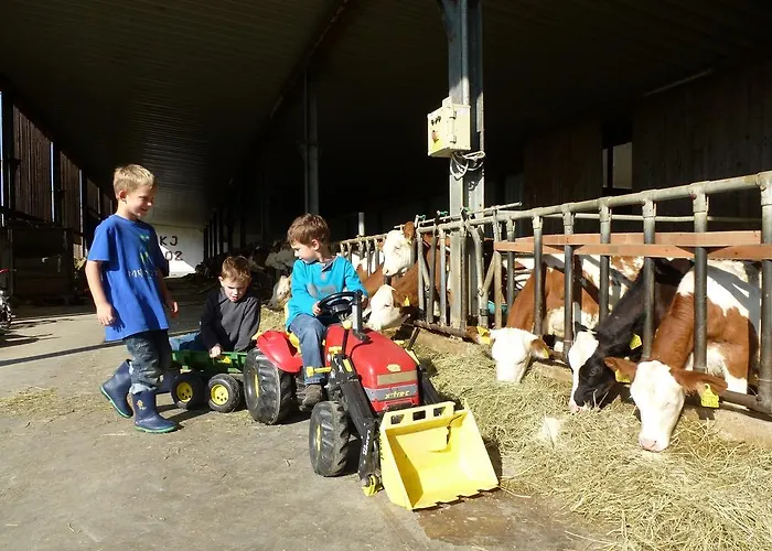 Kerndlerhof Ybbs an der Donau