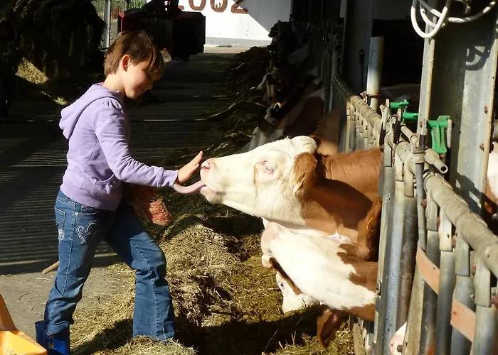 Farm stay Kerndlerhof *