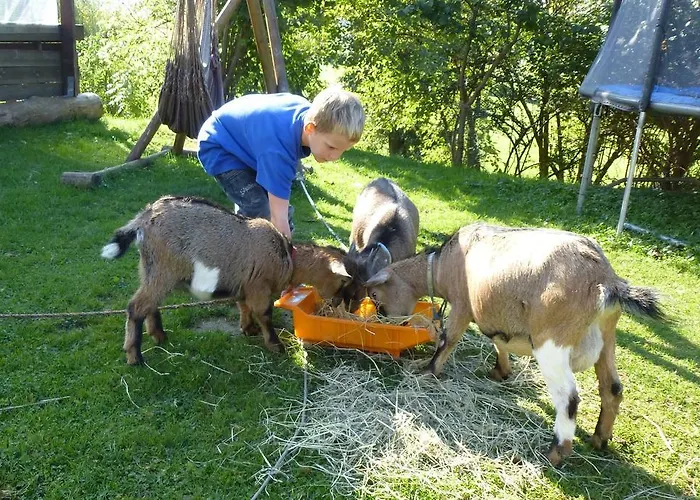 Kerndlerhof Ybbs an der Donau