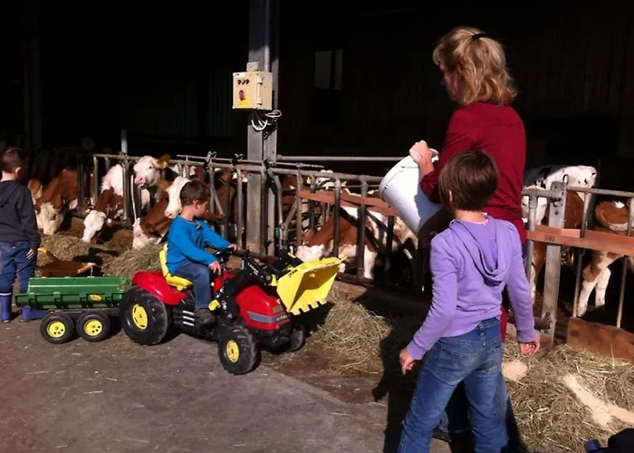 Kerndlerhof Ybbs an der Donau