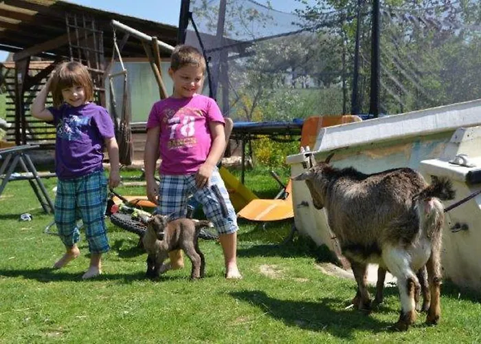 Farm stay Kerndlerhof Ybbs an der Donau