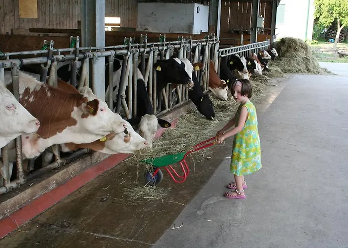 Farm stay Kerndlerhof *