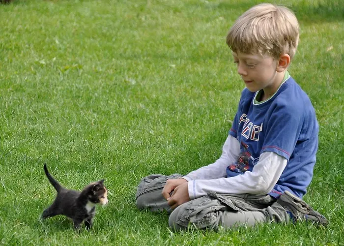 Lantgård Kerndlerhof *