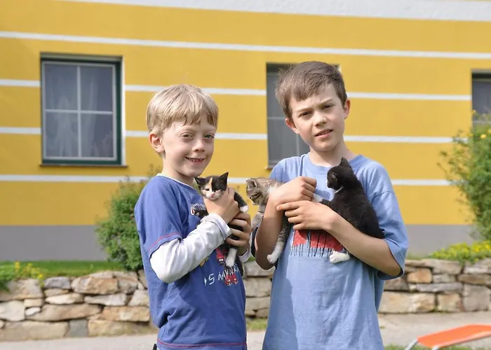 Kerndlerhof Ybbs an der Donau