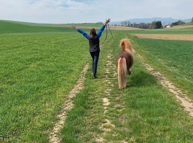 Kerndlerhof Farm stay *