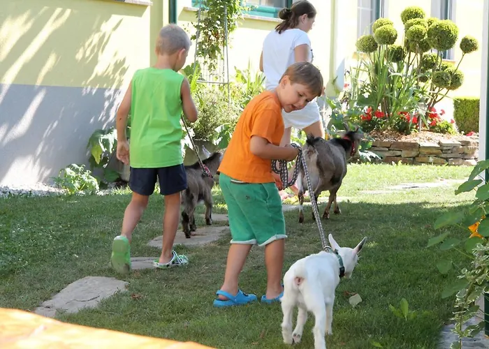 Farm stay Kerndlerhof *