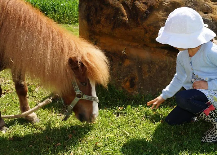Kerndlerhof * Ybbs an der Donau